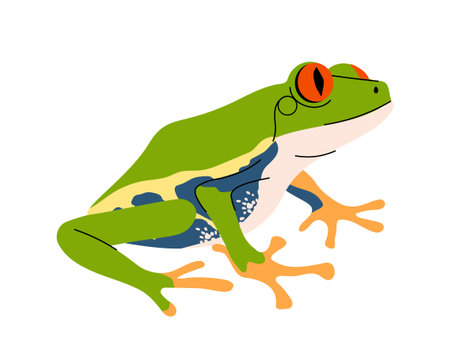 Tropical colorful frog conceptのイラスト素材