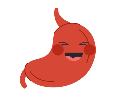 Cute human stomach vector conceptのイラスト素材