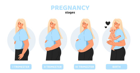 Set of pregnancy stages vector conceptのイラスト素材