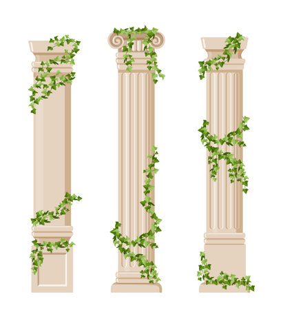 Ivy covered columns vector setのイラスト素材