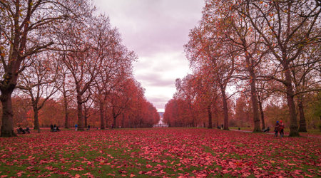 Gardenの写真素材