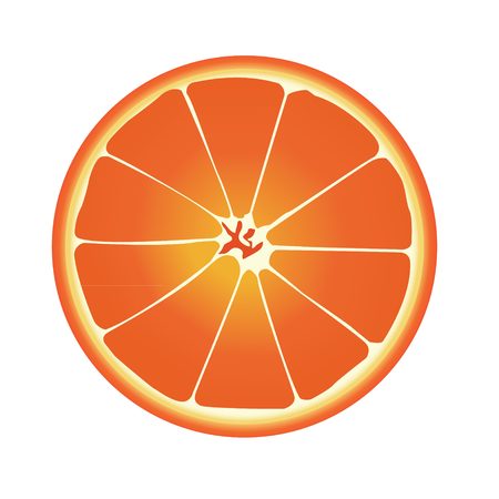 Half orange vector with white backgroundのイラスト素材