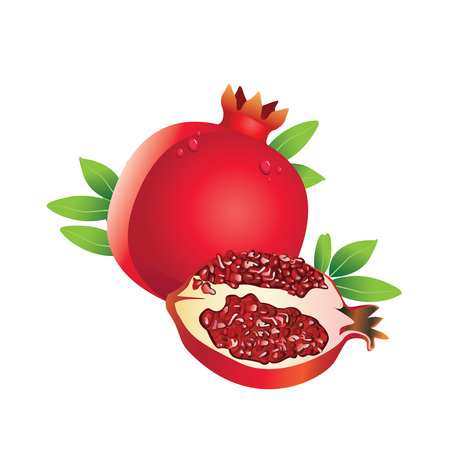 Fresh juicy ripe pomegranate fruit whith leaf vector illustrationのイラスト素材