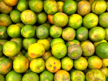 Heap of fresh oranges (Tangerine) on shelf at a fresh market