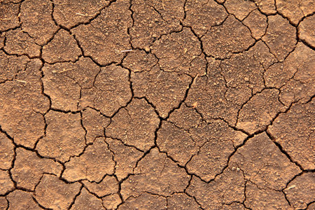 Textured background of cracked dry brown earth