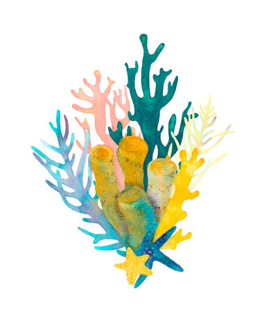 Hand drawn coral reef decorative composition. Beautiful watercolor bright green, pink and yellow corals, blue and yellow starfish, yellow and blue aglae, underwater sea life on white backgroundの写真素材