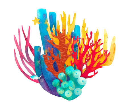 Hand drawn coral reef decorative composition. Beautiful watercolor bright red, blue and yellow corals, yellow starfish, blue fish, red aglae, underwater sea life on white backgroundの写真素材