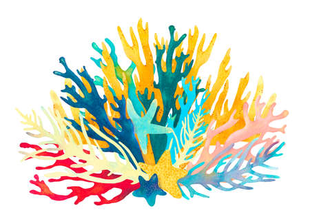 Coral reef watercolor illustration composition. Hand drawn underwater sea life decorative design. Beautiful bright corals, fish, starfish, seaweed, marine life on white backgroundの写真素材