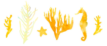 Coral reef watercolor illustration elements. Hand drawn underwater sea life decorative set. Beautiful bright corals, starfish, aglae, seahorse, marine life on white backgroundの写真素材