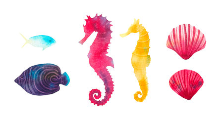 Coral reef watercolor illustration elements. Hand drawn underwater sea life decorative set....