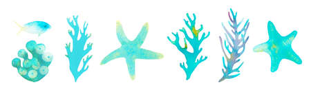Coral reef watercolor illustration elements.の写真素材