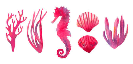 Coral reef watercolor illustration elements.の写真素材
