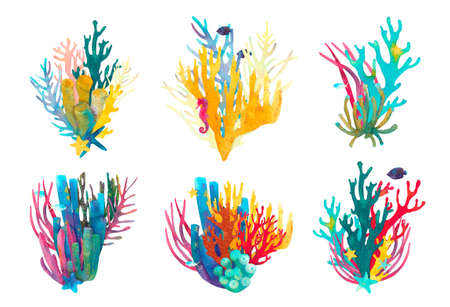 Coral reef watercolor illustration 6 compositions. Hand drawn underwater sea life decorative design. Beautiful bright corals, fish, starfish, seaweed, marine life on white backgroundの写真素材