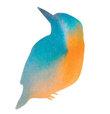 Hand drawn blue watercolor spot in the form of kingfisherの写真素材