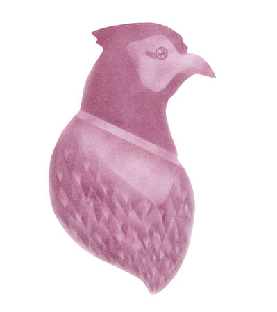 Monochrome portrait of pheasant. Red, purple bird isolated on white backgroundの写真素材