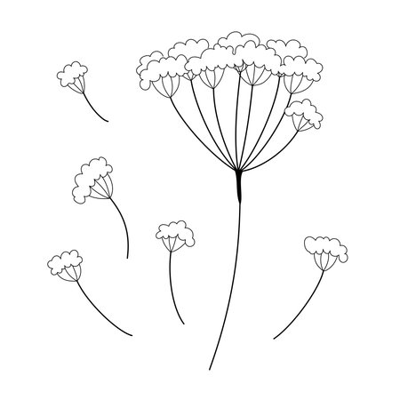 Black doodle contour flower set. Decorative outline vector illustration. Floral design element. Thin line sketch.のイラスト素材