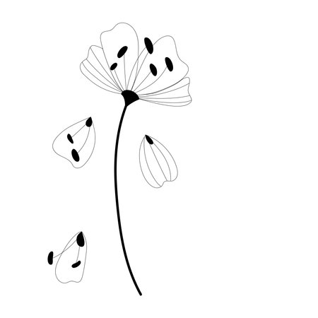 Black doodle contour flower. Decorative outline vector illustration. Floral design element. Thin line sketch.のイラスト素材