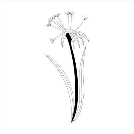 Black doodle contour flower. Decorative outline vector illustration. Floral design element. Thin line sketch.のイラスト素材