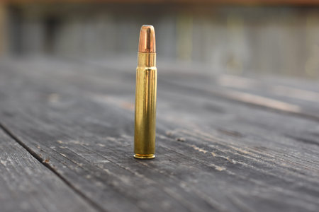 One Ammunition for Dangerous Game on the wooden background