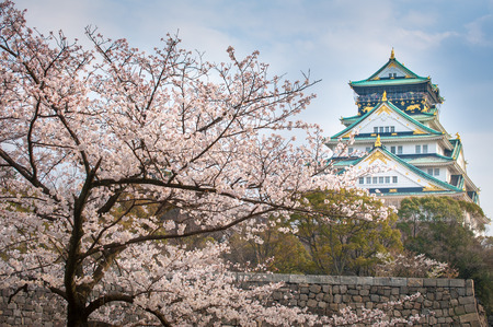 Osaka castle with sakura blossom in Osaka, Japanのeditorial素材