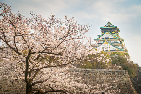 Osaka castle with sakura blossom in Osaka, Japanのeditorial素材