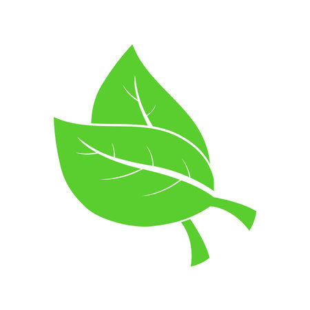 Leaves icon - Vector