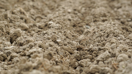 Bangladesh field. Cropland soil. Fine-grained soil creates an artistic impression.の写真素材