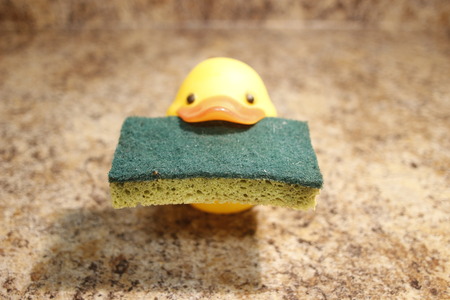 Yellow rubber duck isolated holding a spongeの写真素材