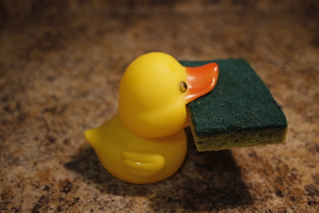 Yellow rubber duck isolated holding a spongeの写真素材