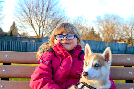 Little girl aged 3 to 5 holds a puppy on her arms, siberian huskyの写真素材