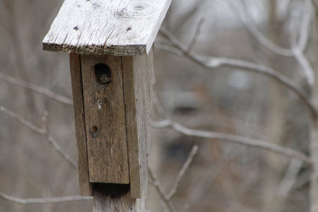 Bird house hanging from the tree with the entrance hole in the shape of a circle..