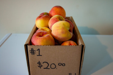 Fresh Organic Peaches Heap Of Fresh Ripe Peaches. 11 quart box of peaches that was 20 dollars