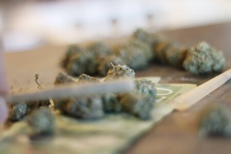 marijuana consumption is legal in canada and is becoming more commonの写真素材