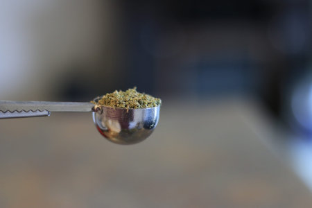 Measuring marijuana or hemp for cooking purposes.の写真素材