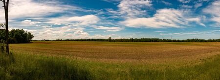 Idyllic rural view of pretty farmland and healthy livestock, in the beautiful surroundings of southern Ontario.の写真素材