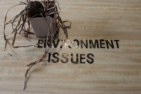 a dead plant next to environmental issues. theme of climate changeの写真素材