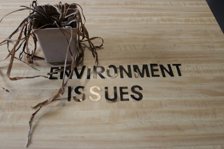 a dead plant next to environmental issues. theme of climate changeの写真素材