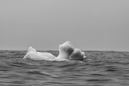 tourism includes looking for icebergs shown here