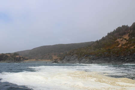 Sod church by Atlantic Ocean in Newfoundlandの写真素材