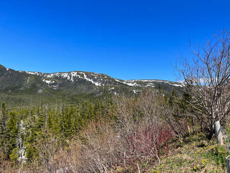 The shore of Newfoundland, Canada in sunny day. High quality photoの写真素材