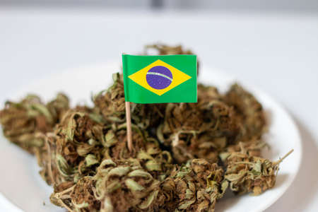 Theme of recreational marijuana in brazilの写真素材
