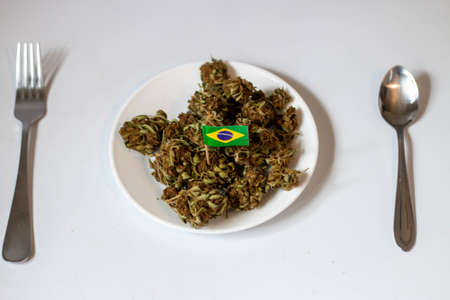 Theme of recreational marijuana in brazilの写真素材