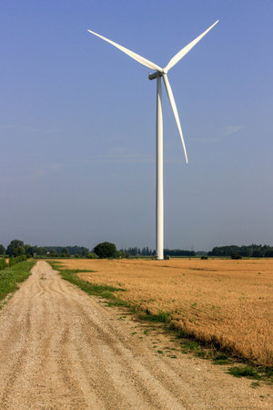 Wind turbine on a wheat field with a dirt road in the background
