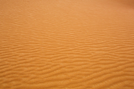 Wavy desert sandの写真素材