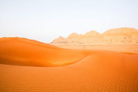 Beautiful desert viewの写真素材