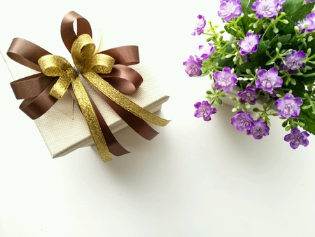 Special dayの素材