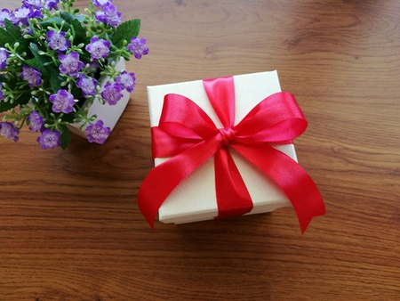 Gift for special dayの素材