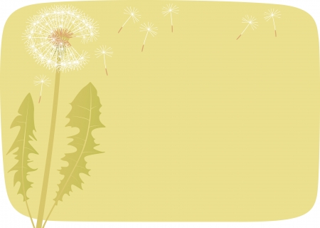 Dandelionのイラスト素材