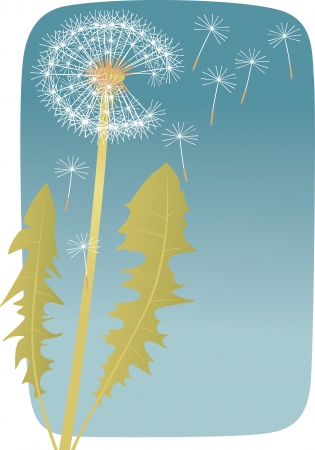 Dandelionのイラスト素材