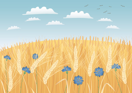 Grain fieldsのイラスト素材